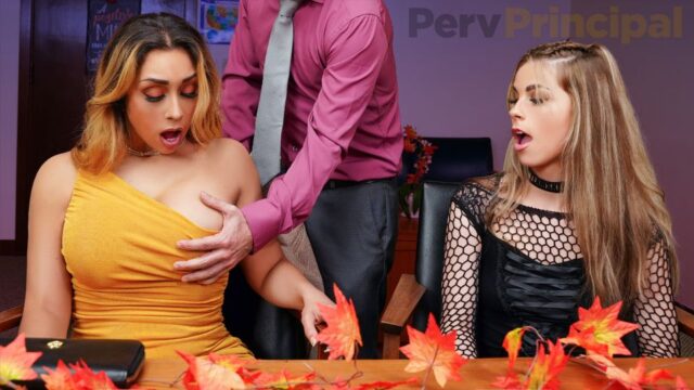 beegporn su  – Lilly Hall & Renee Rose – Thanksgiving is Ruined